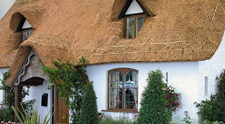 roof thatching