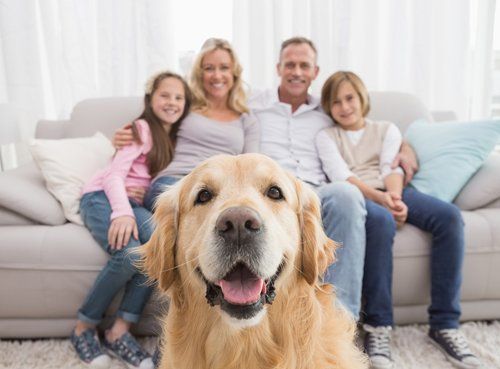 Family with Golden Retriever — Bucks County, PA — Ranniello Inc. Family with Golden Retriever — Bucks County, PA — Ranniello Inc.