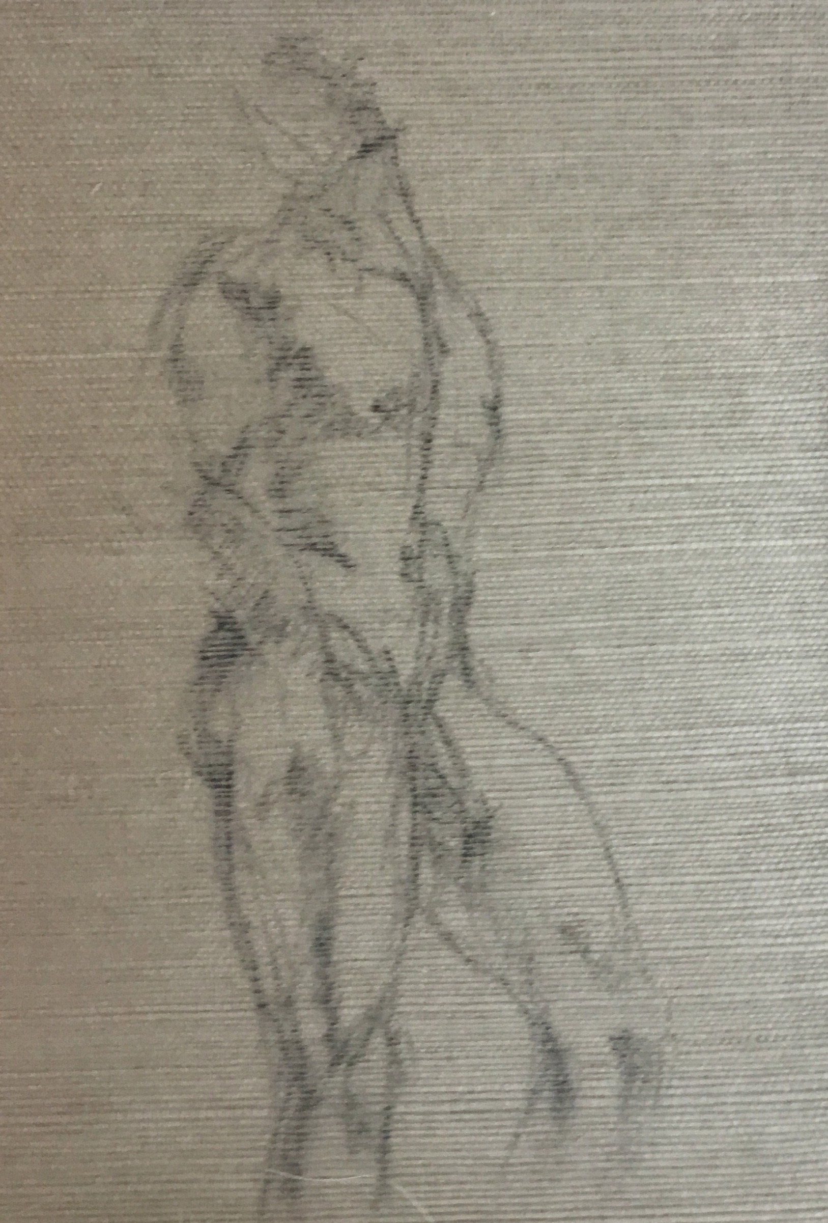 Gesture drawing on wallpaper - art by k2, Hamilton