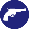 company icon
