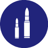 bullet icon