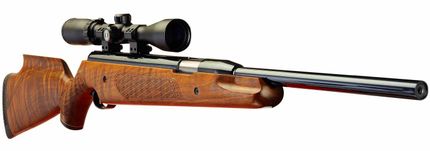PRO-SPORT WALNUT .177 .22
