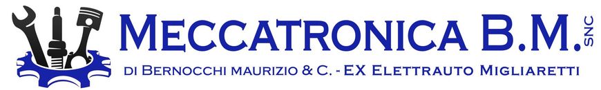 ELETTRAUTO MIGLIARETTI-LOGO ELETTRAUTO MIGLIARETTI-LOGO