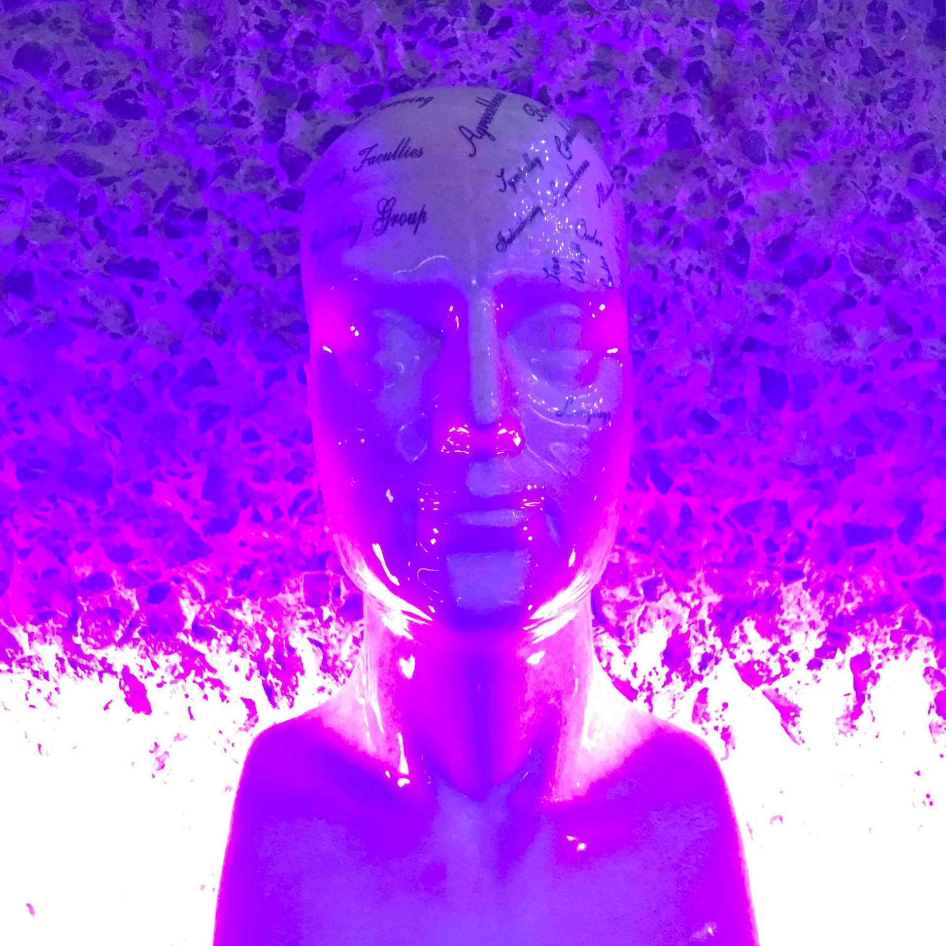 Büste aus der Ausstellung AI: More than Human, 2019 in London