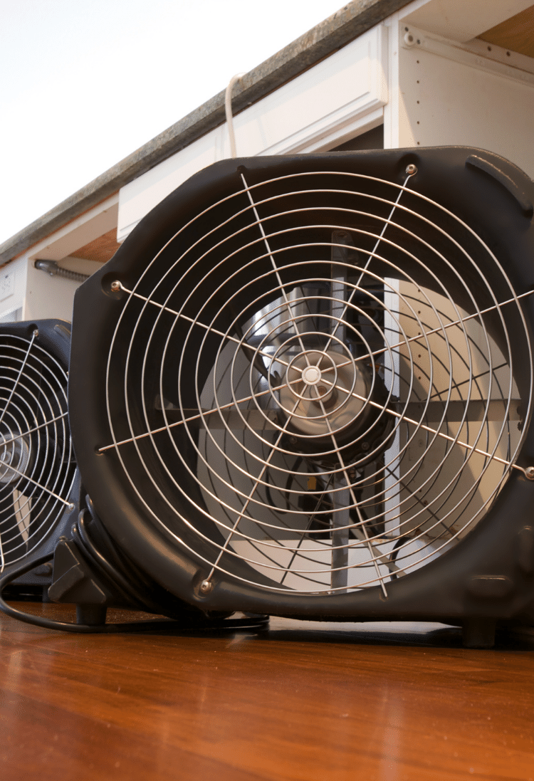 water remediation services in Katy, TX