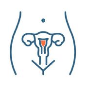 Apparato riproduttore femminile