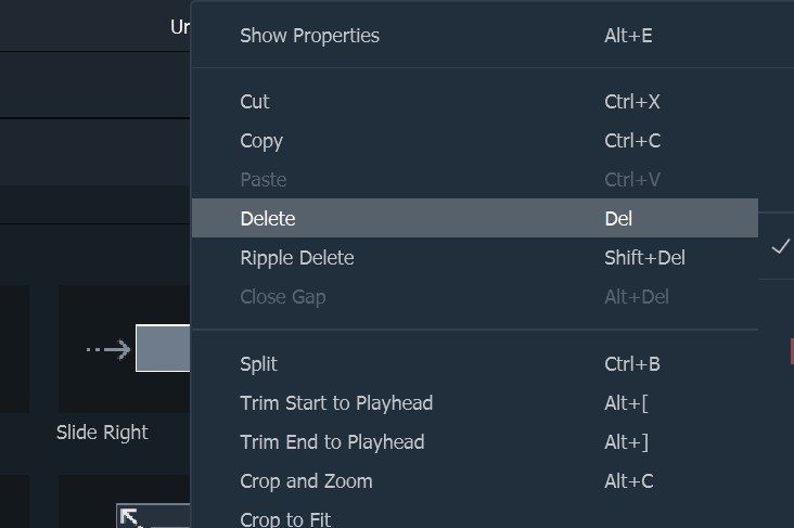 A screenshot of a computer screen showing the delete option