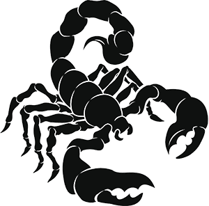 Scorpion - Scorpions Drywall Inc. in Merrillville, IN Scorpion - Scorpions Drywall Inc. in Merrillville, IN