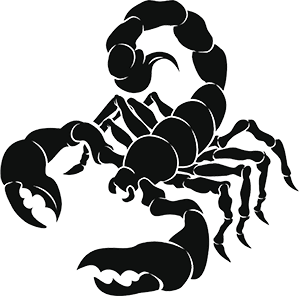 Scorpion - Scorpions Drywall Inc. in Merrillville, IN Scorpion - Scorpions Drywall Inc. in Merrillville, IN