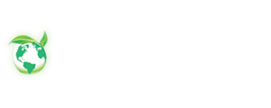 D.B.S. ROTTAMI