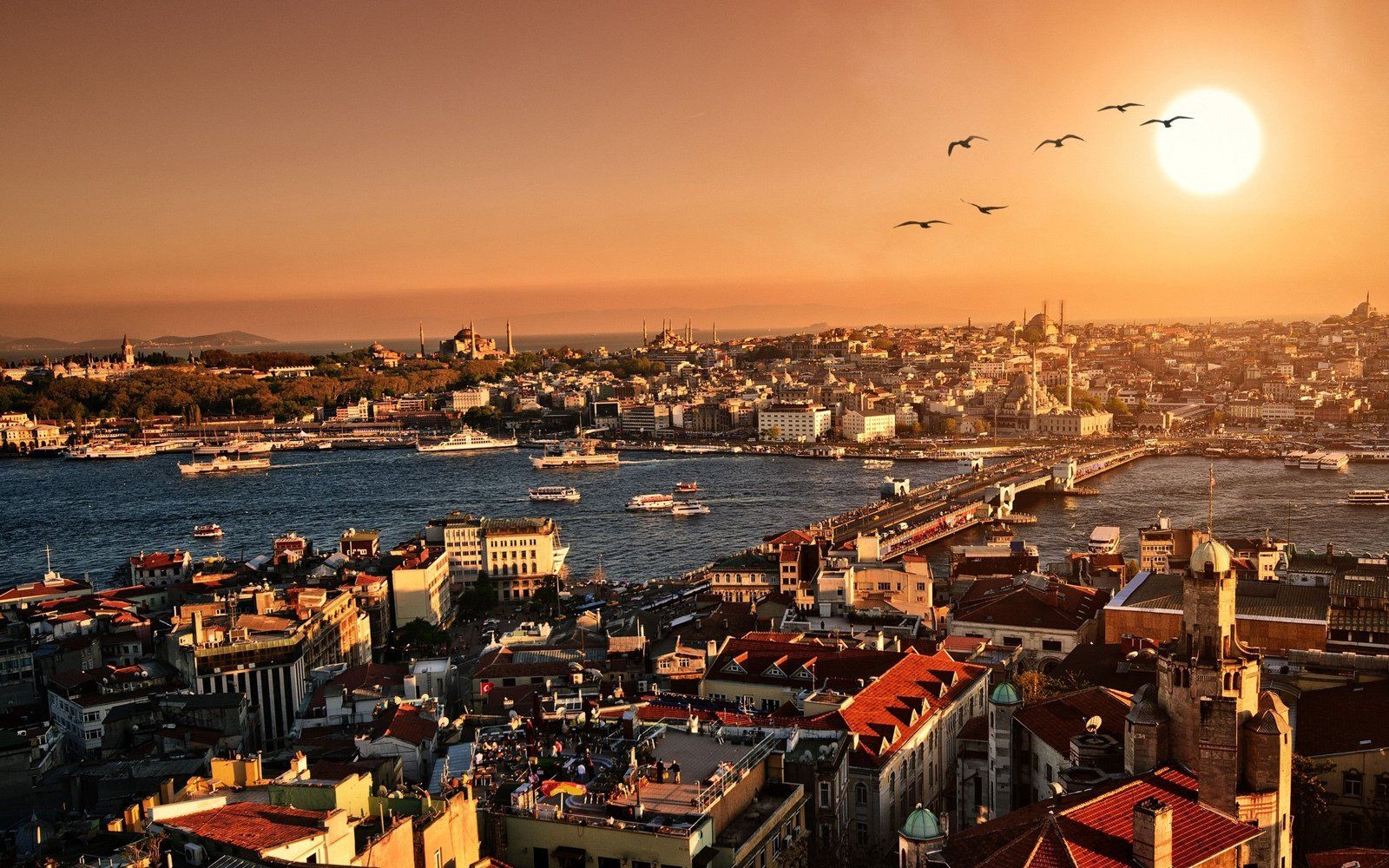 Oran Hotel İstanbul , Istanbul Panoramic