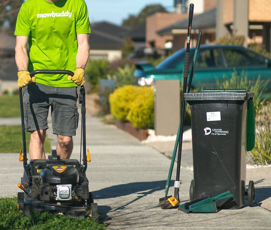 Mowbuddy gardener lawn mowing a nature strip near a green bin