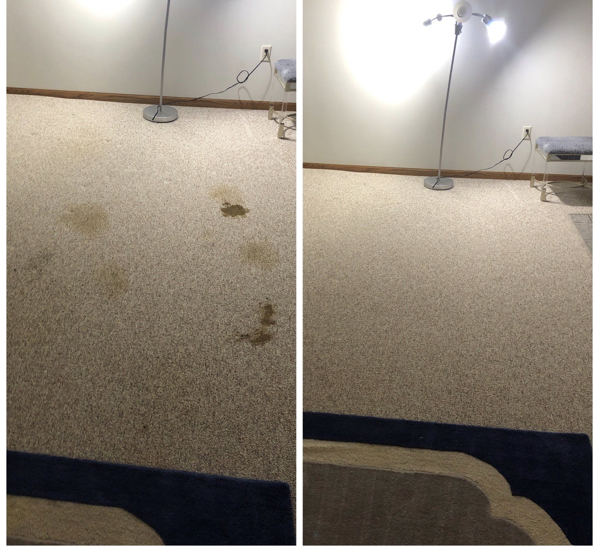 Cleaning dirty carpet in Madison, Wi