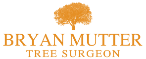 Bryan Mutter logo