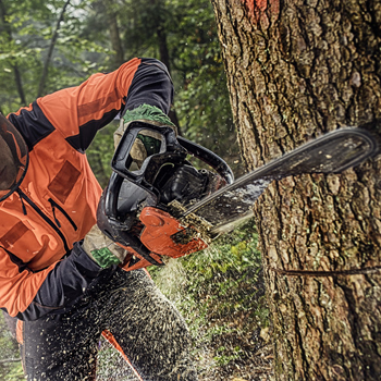 tree experts