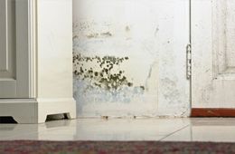 Basement conversion service