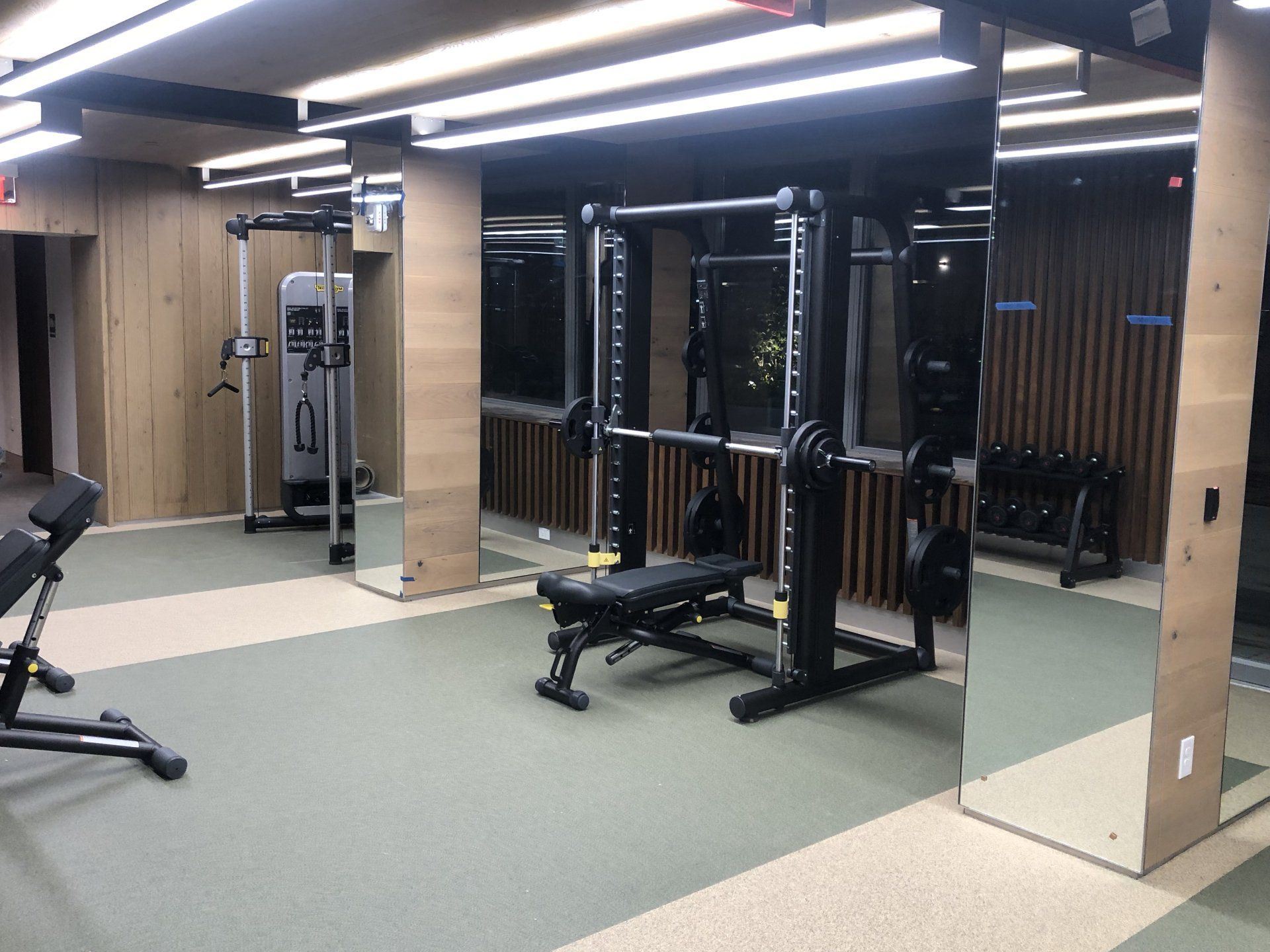 Strength training station with free weights and resistance equipment at Iron State gym.