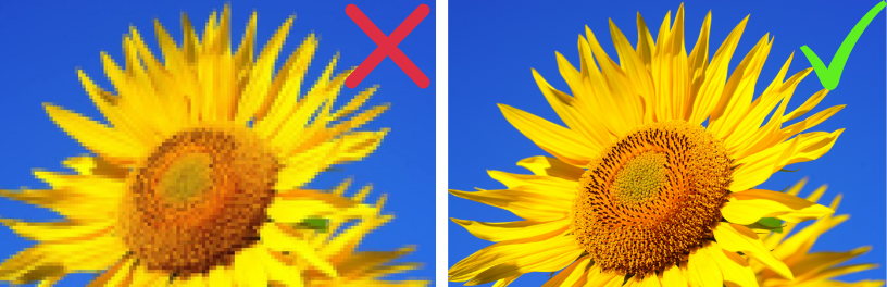 A close up of a sunflower with a blue sky in the background.