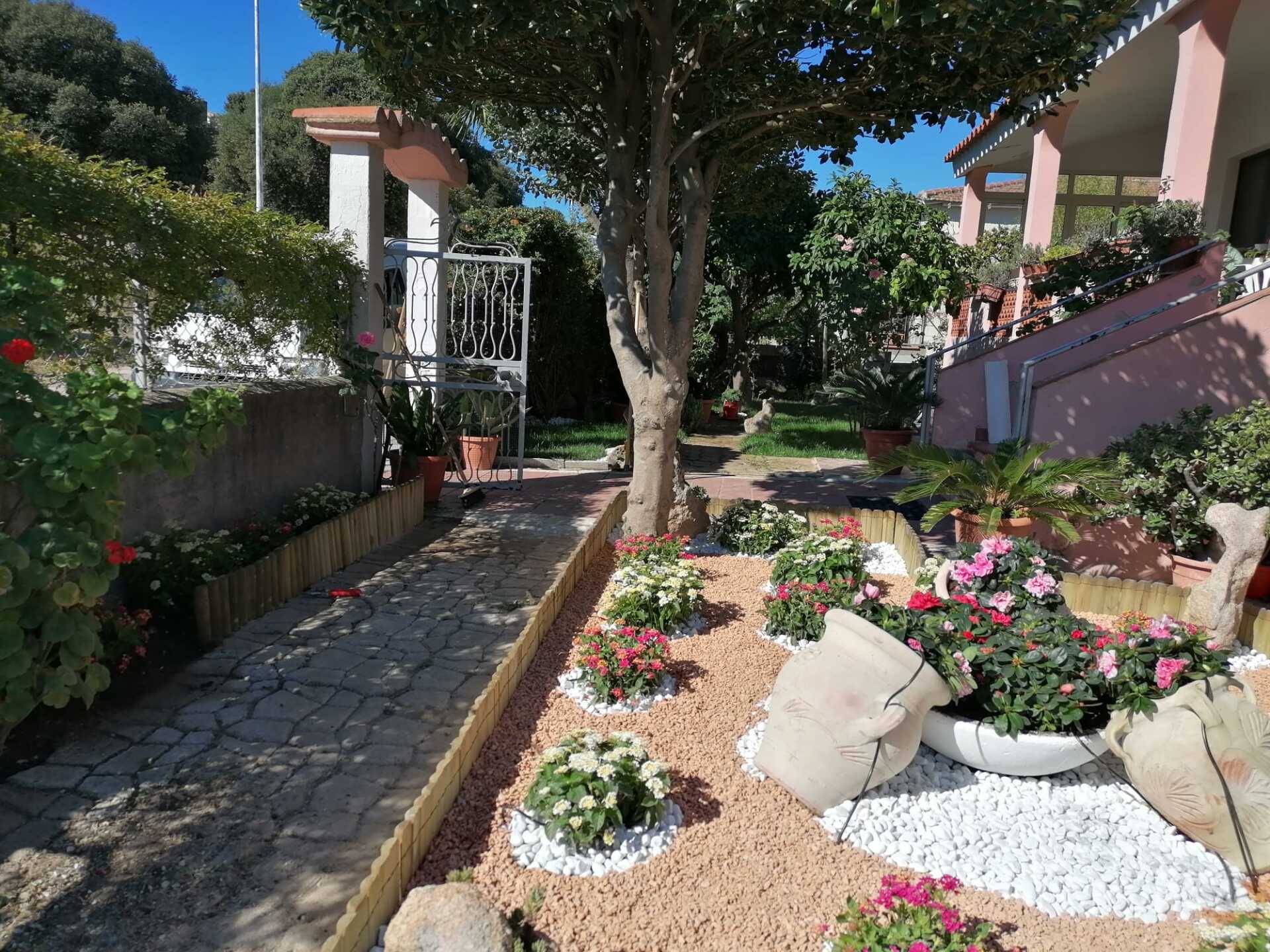 Giardino e albero