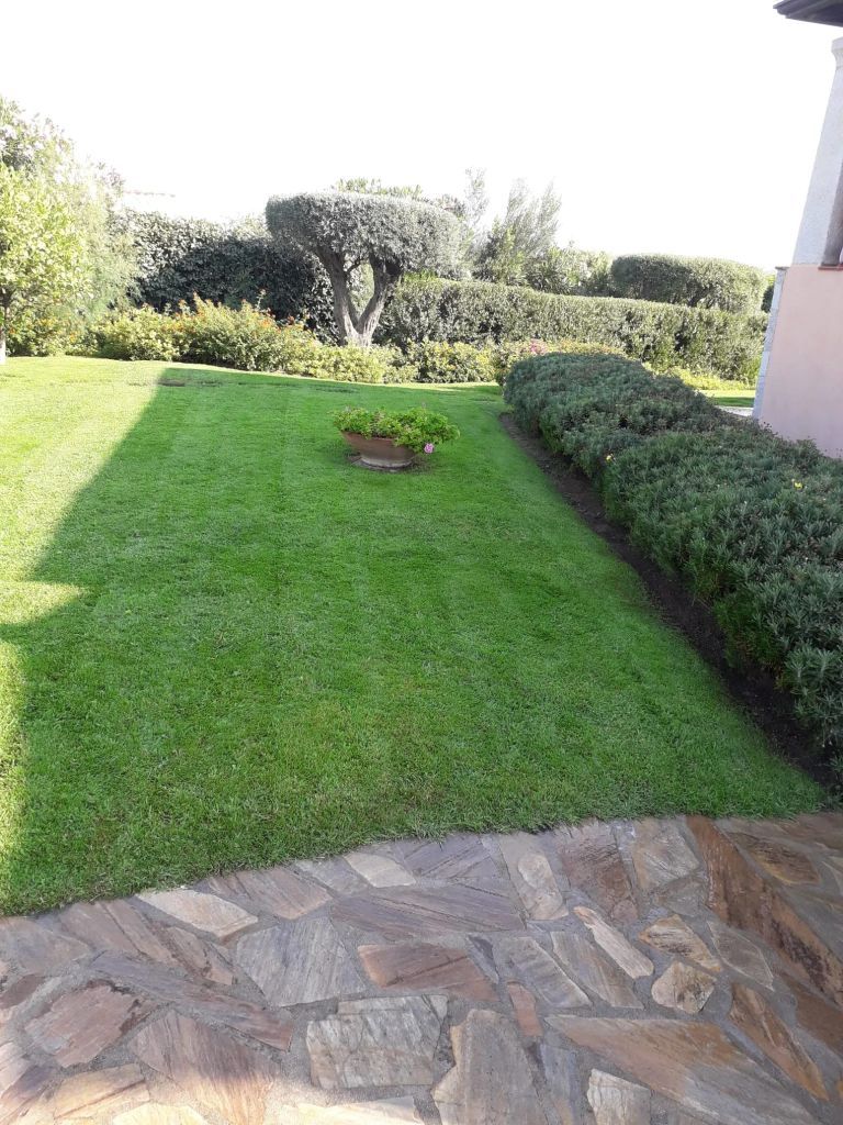 Siepe del giardino
