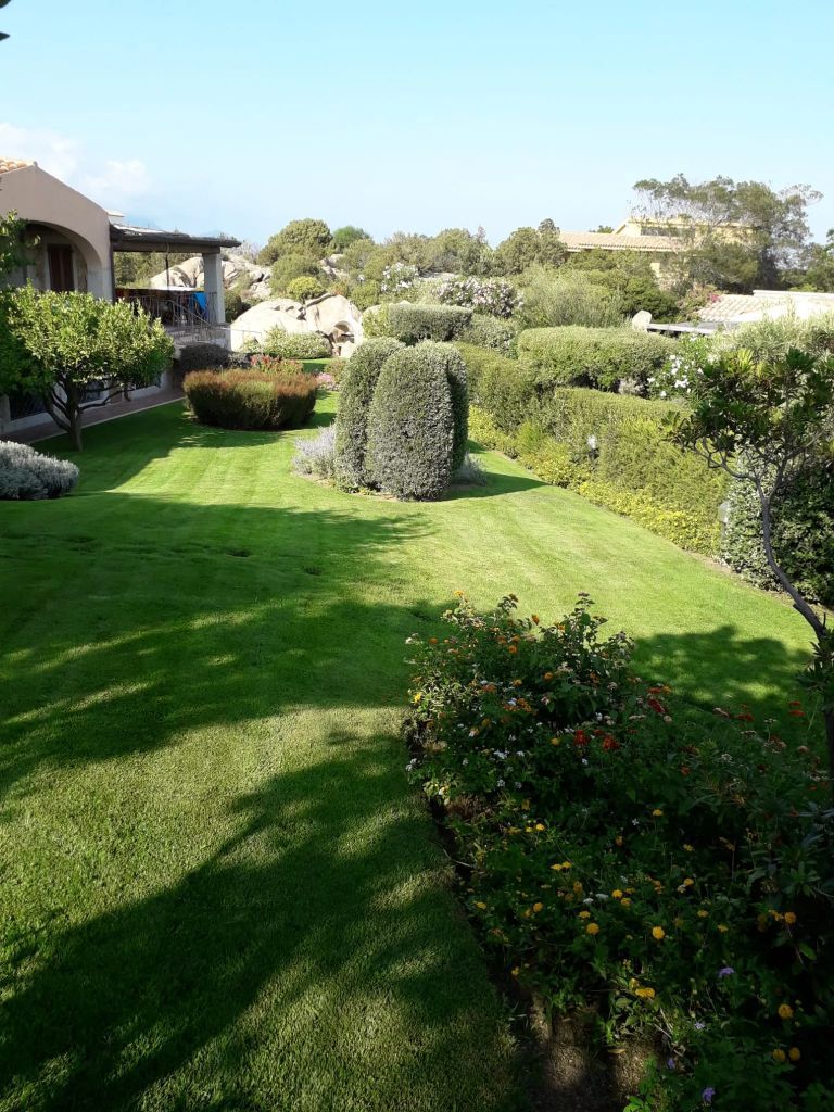 Piante in giardino
