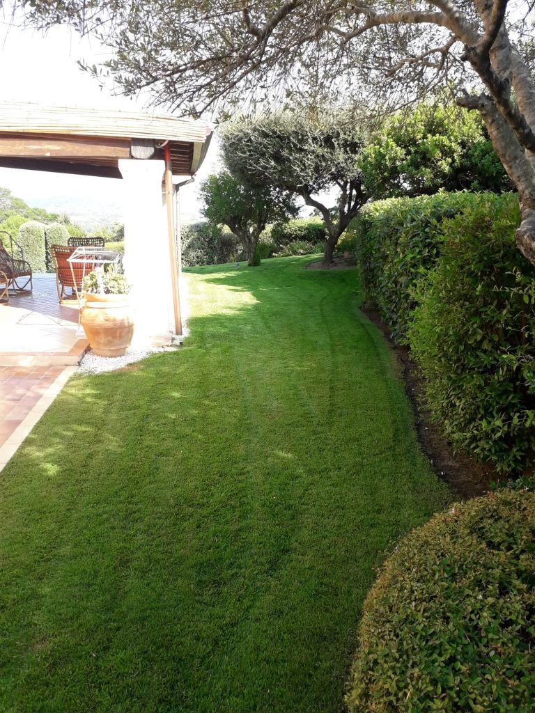Angolo di giardino