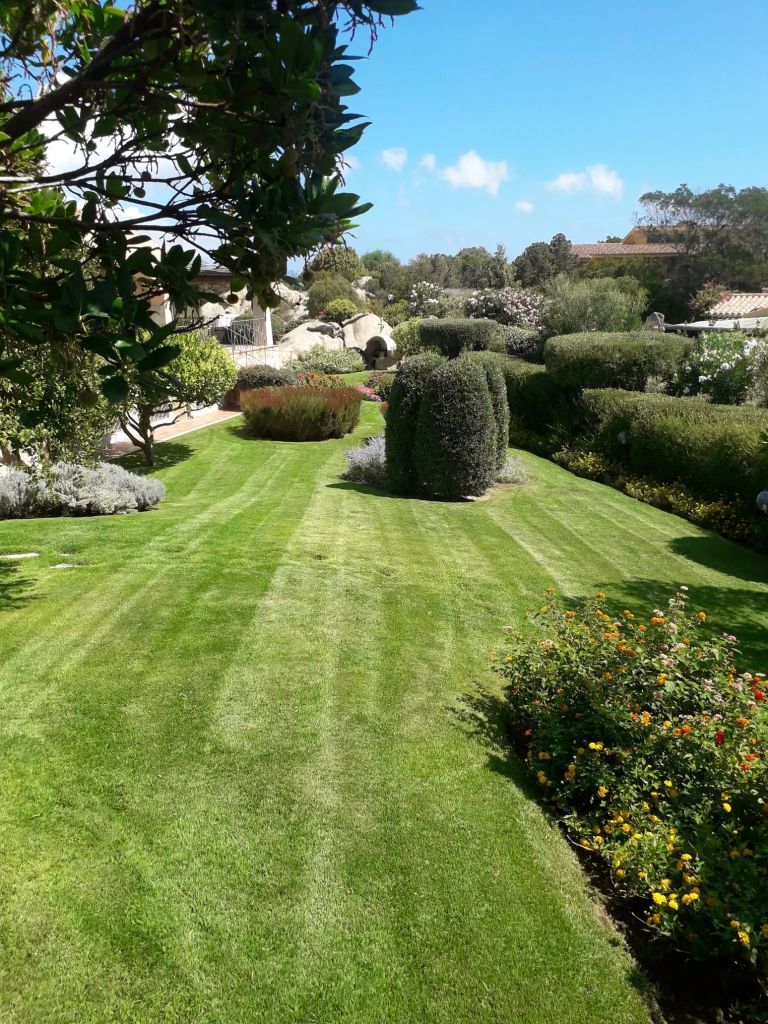 Giardino e siepi potate