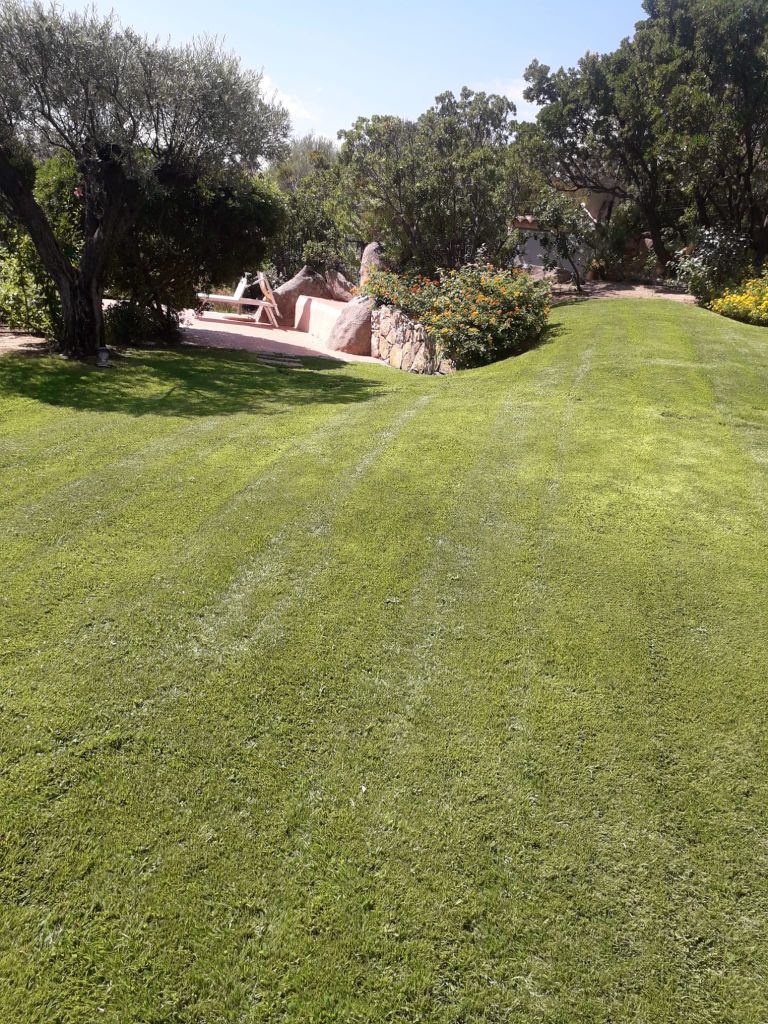 Giardino verde