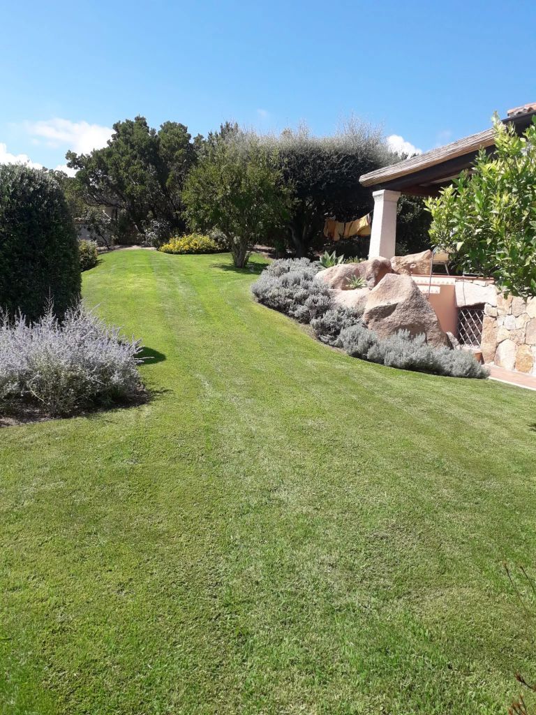 Giardino con aiuole