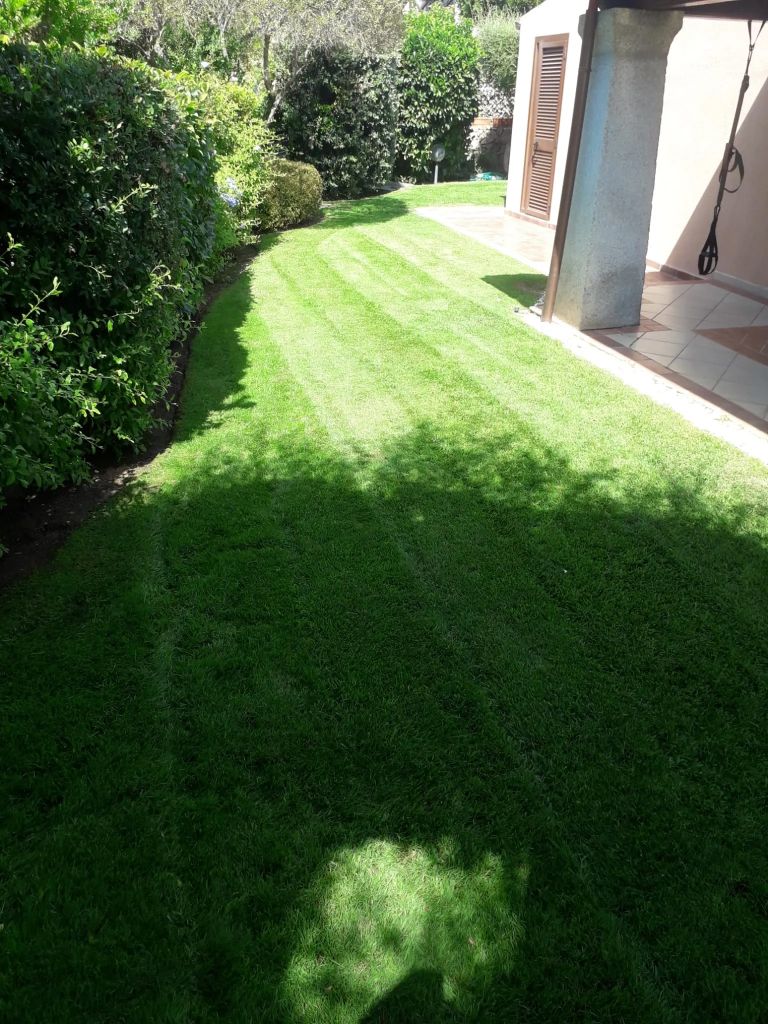 Giardino con ombra