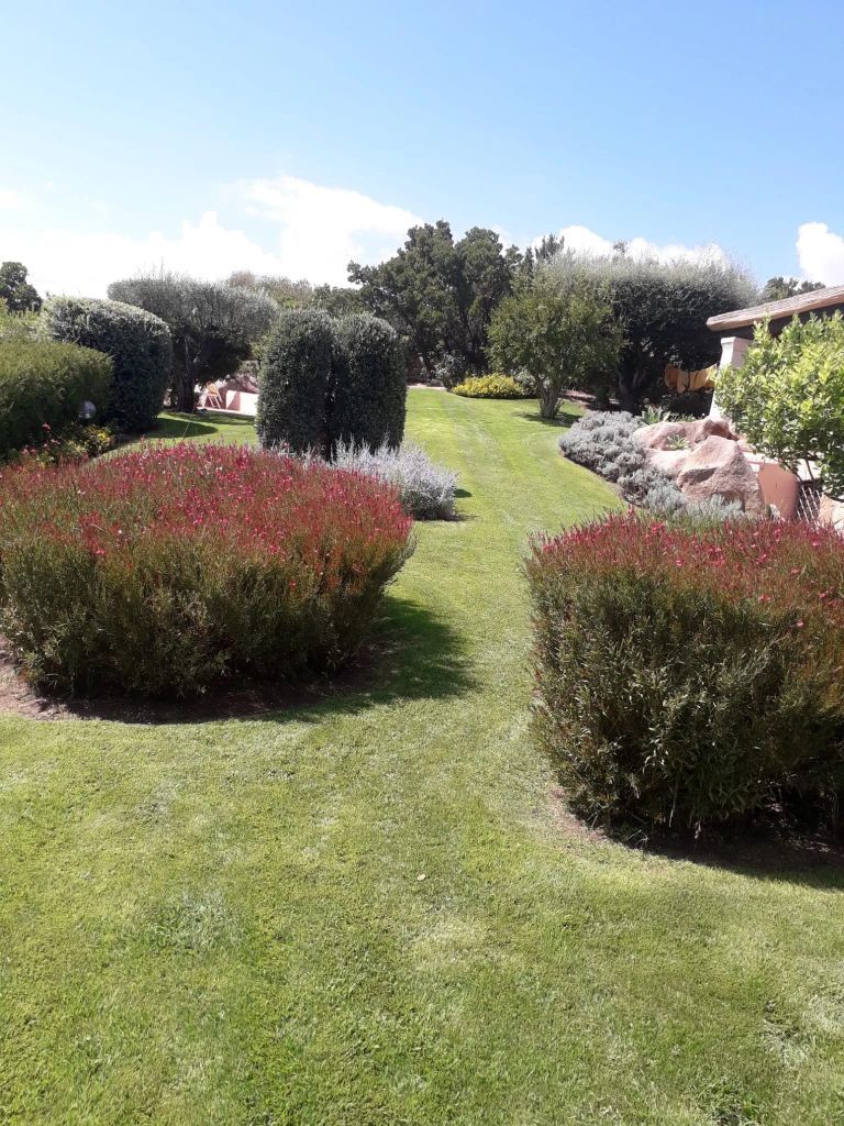 Giardino con siepi