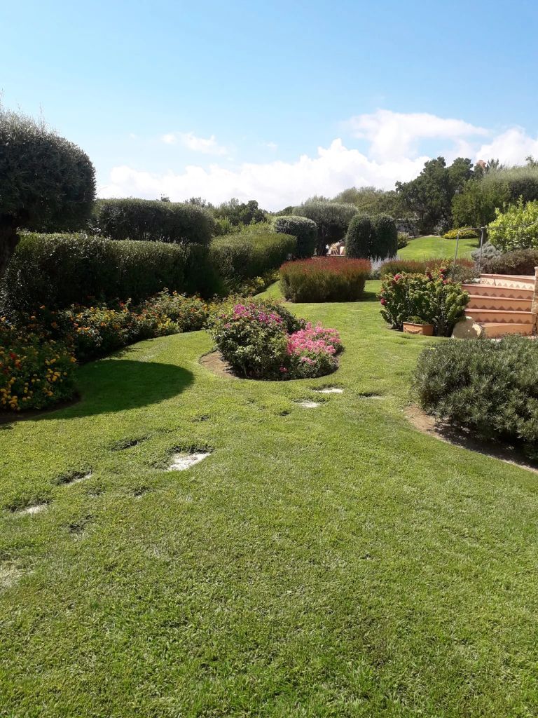Giardino con cespugli