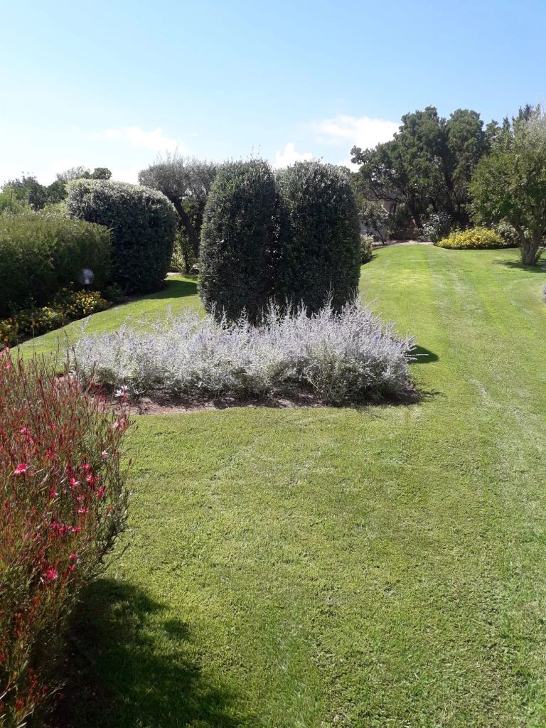 Giardino erboso