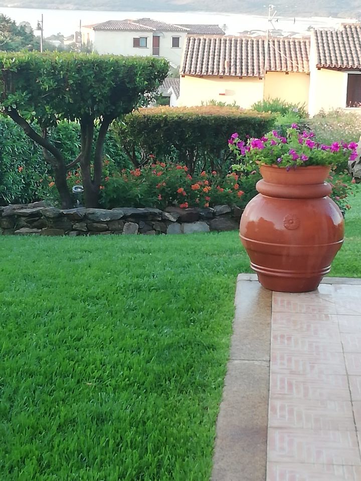 Orcio con fiori