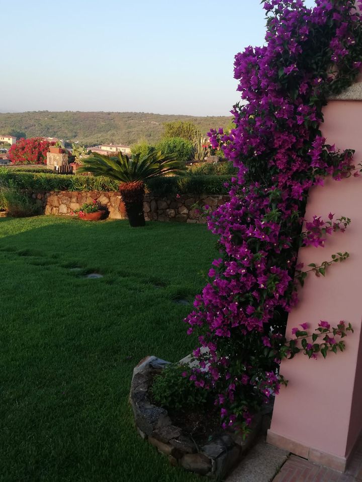 Orcio con fiori