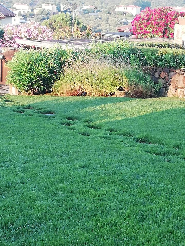 Orcio con fiori