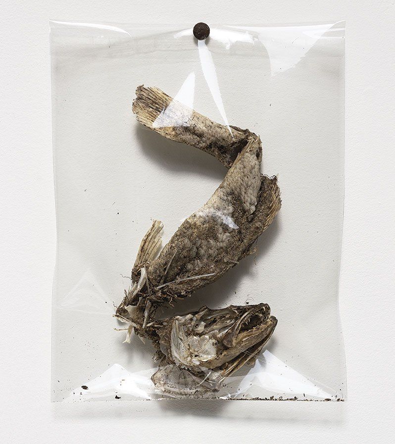 Nature morte