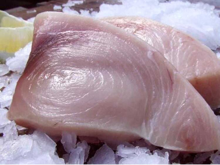 A piece of fish is sitting on top of a pile of ice.