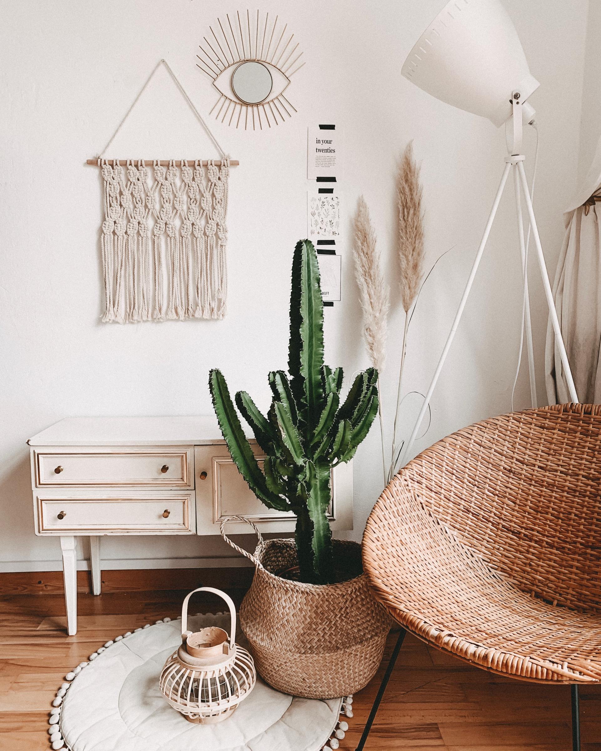 A living room with a cactus in a basket and a wicker chair.