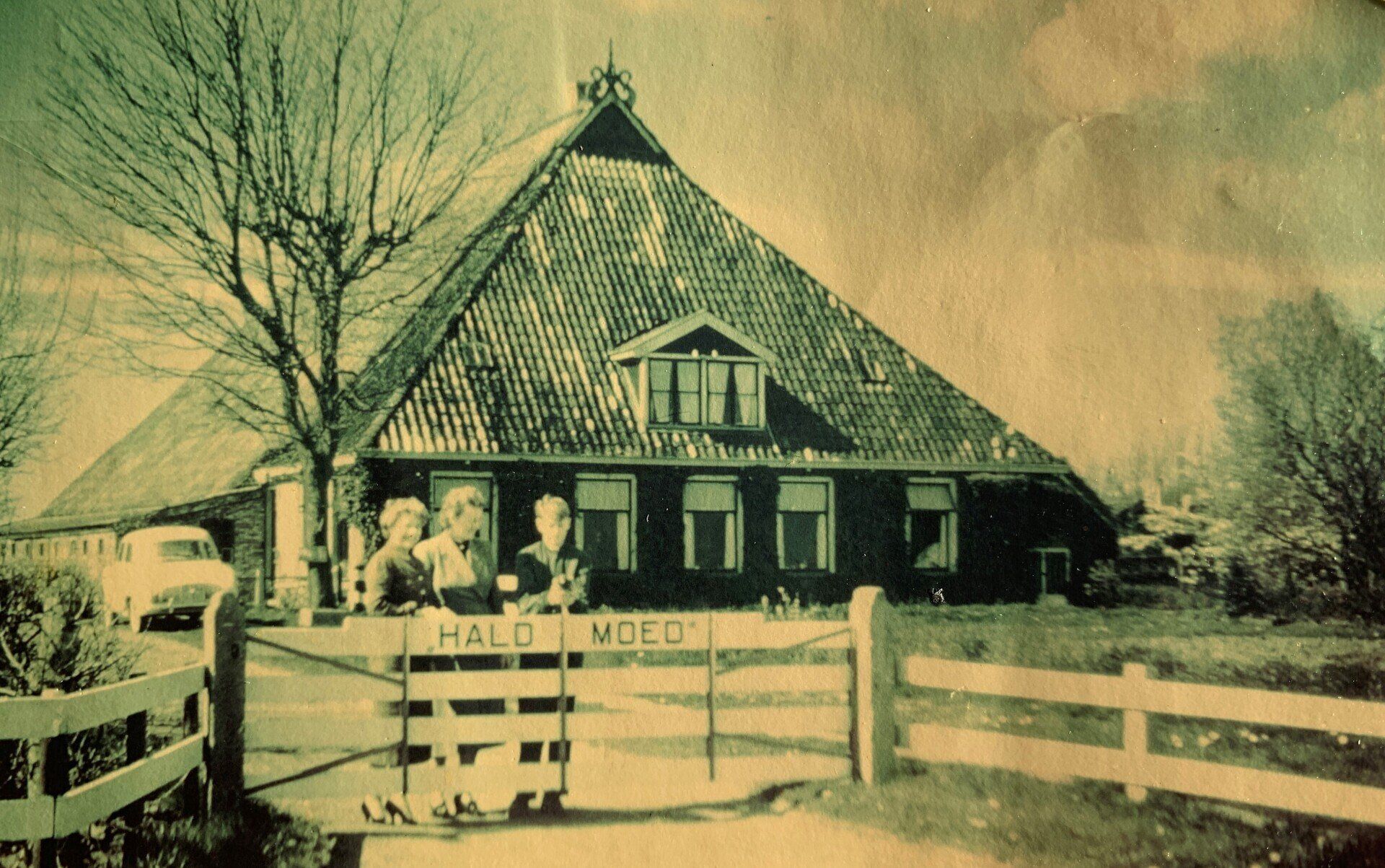 Hâld Moed Cidery
