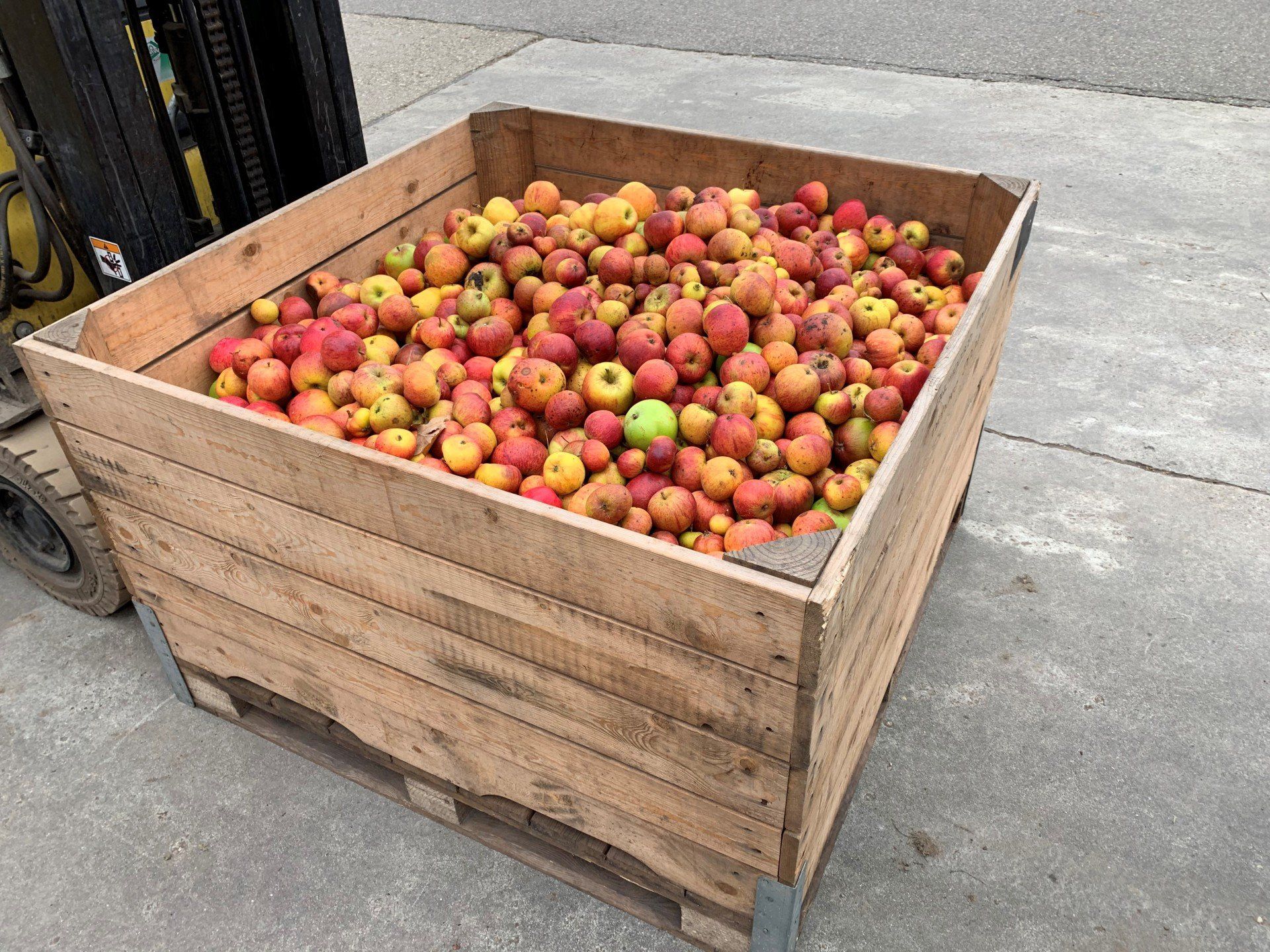 Cider Appels