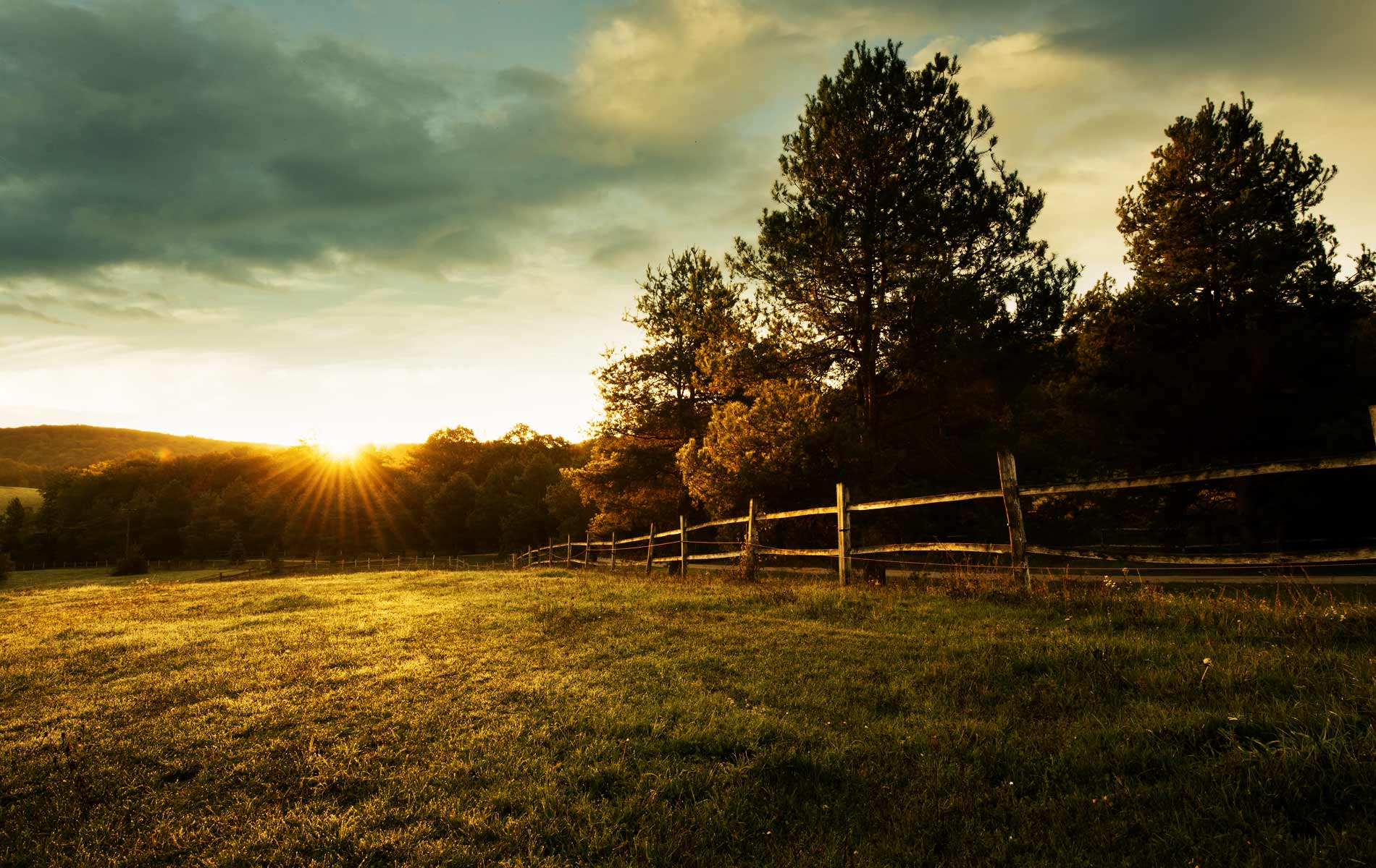 sunset field
