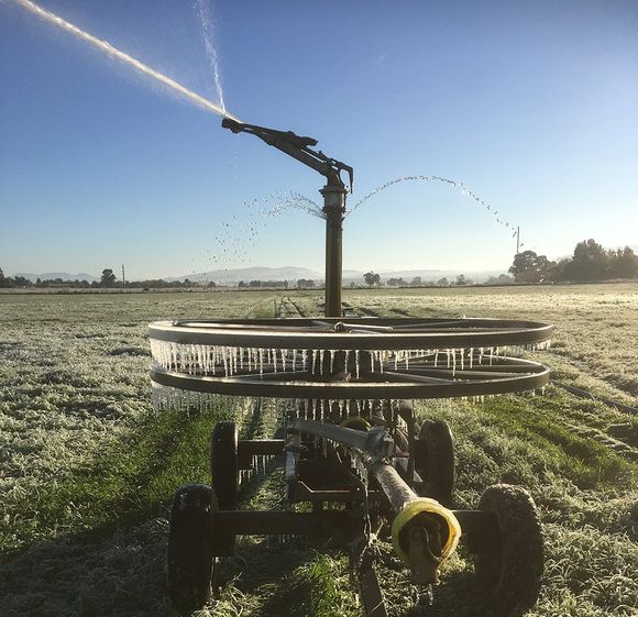 spray