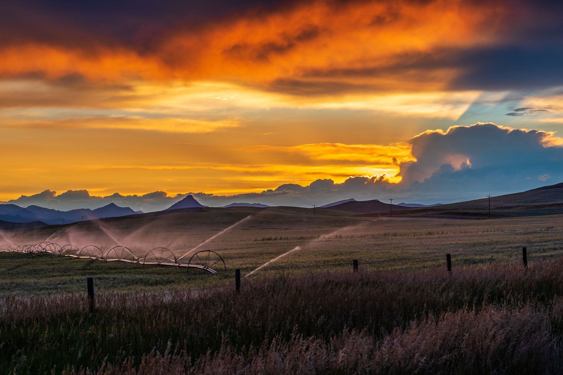 sunset field