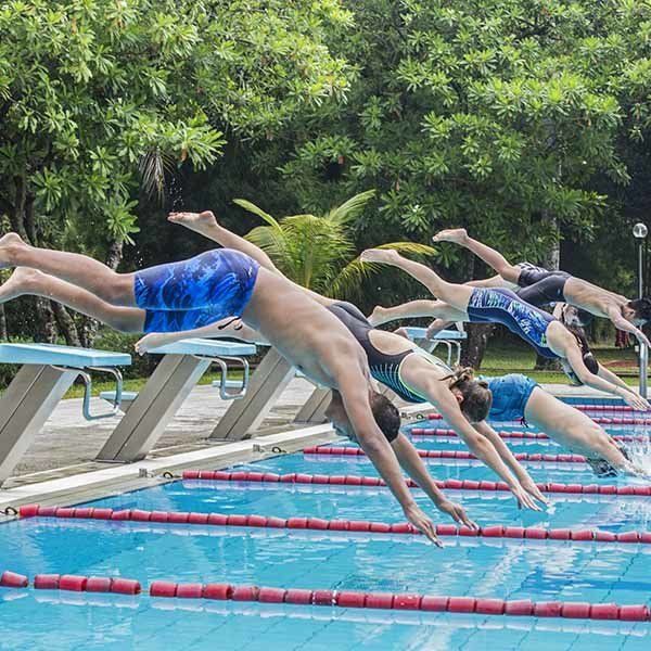 A group of people are diving into a swimming pool.