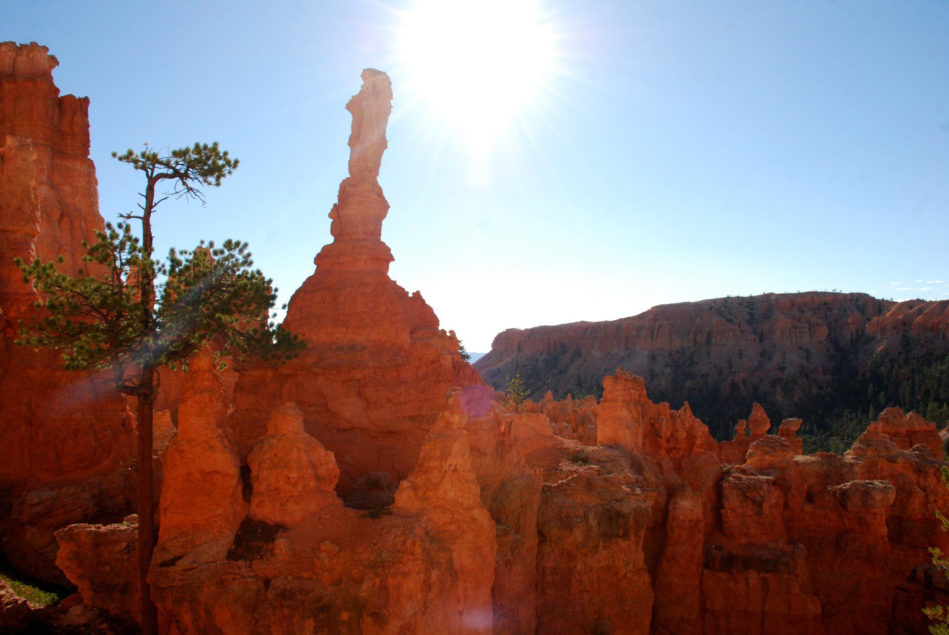 Bryce Canyon, Utah.