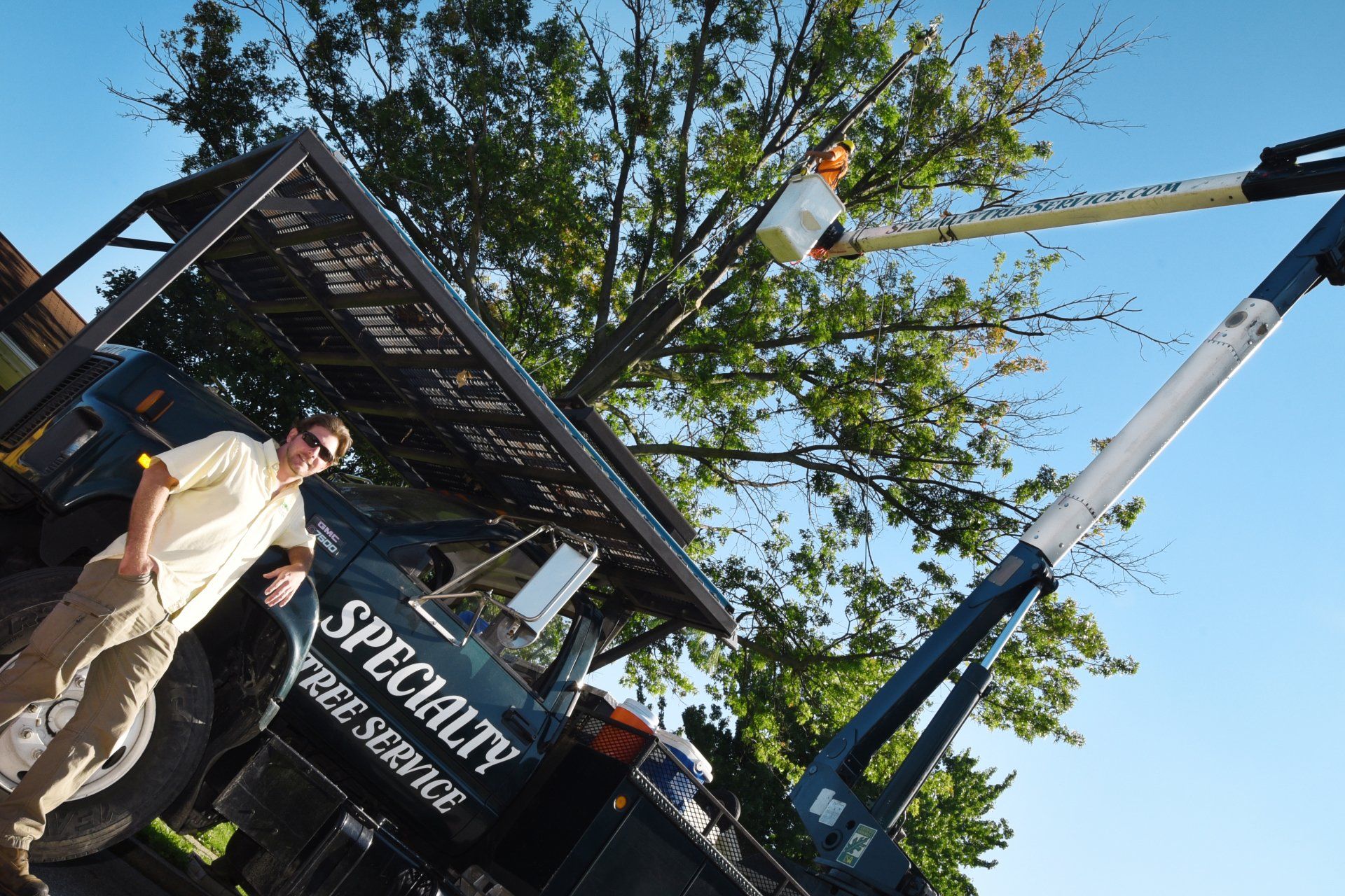 Specialty Tree Service in York, PA.