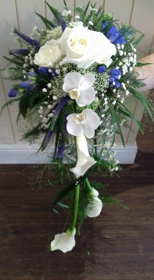 white flowers with green leaves