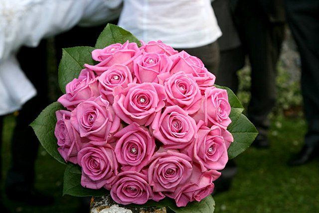 a bunch of pink roses