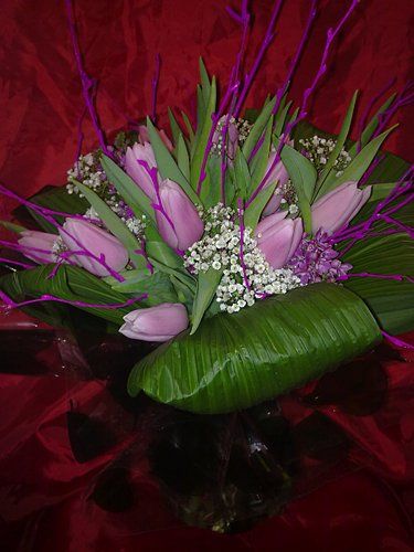 purple tulips